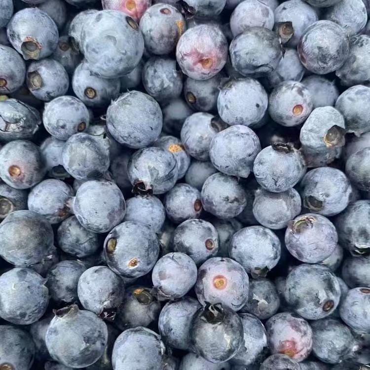 Frozen blueberries