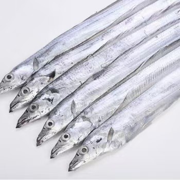 Ribbonfish