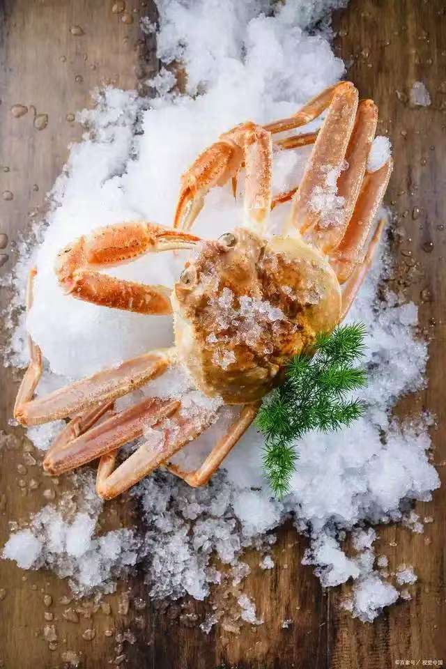 snow crab